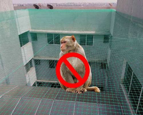 Monkey Safety Nets in Bangalore