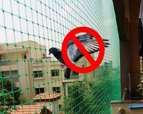 Pigeon Protection Nets Fixing Charges in Bangalore