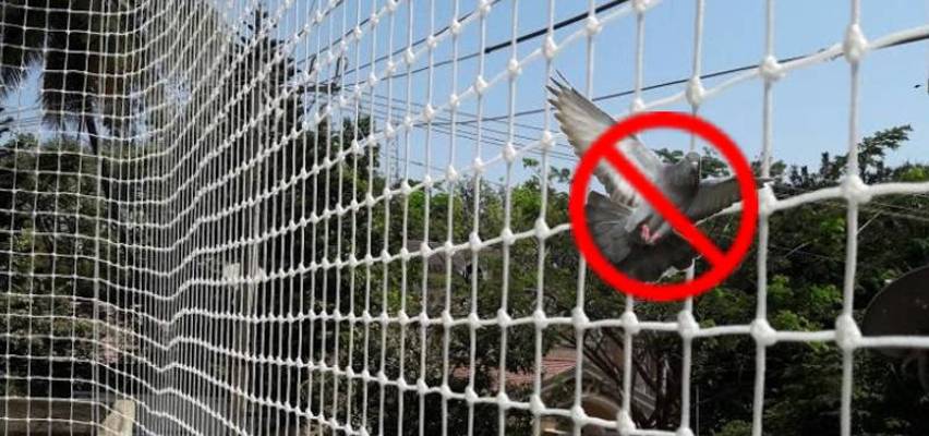 Pigeon Protection Nets for Balconies Bangalore